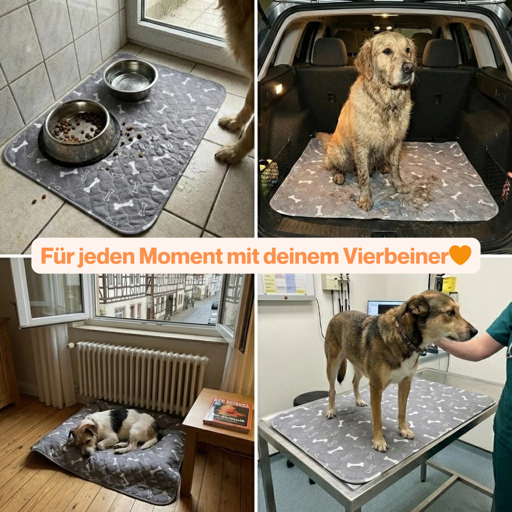 DryPaws™ Premium Schutzunterlage