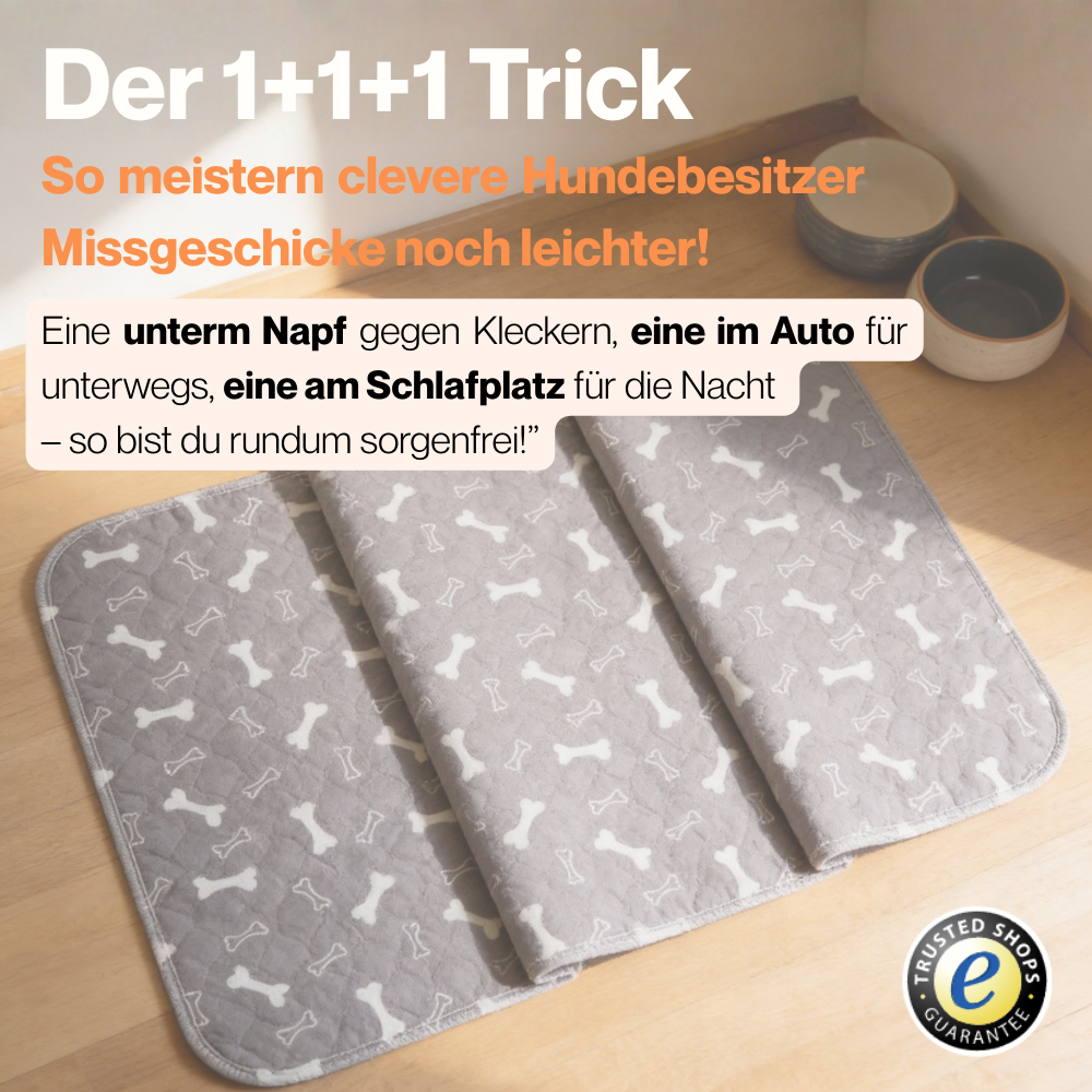 DryPaws™ Premium Schutzunterlage